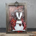 anai_white_rabbit_01.jpg