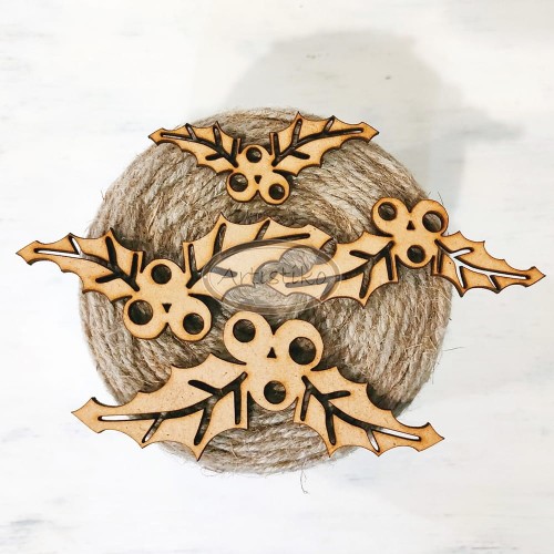 ostrokrzew 2 hdf.jpg