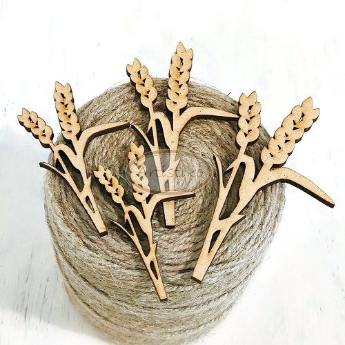 zboże HDF holy communion.jpg