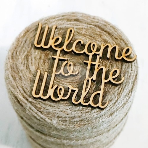 welcome to the world hdf.jpg