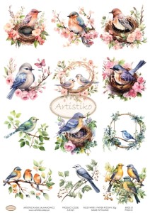 PAPIER RYŻOWY 021 - PTAKI 01 / RICE PAPER BIRDS 01 ARTISTIKO