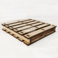 paleta 1 HDF artistiko herbarium.jpg
