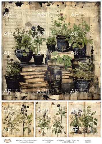 A-R-067 HERBS 01 ZIOŁA 01 ARTISTIKO.jpg