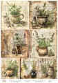 A-R-075 HERBS 03 ZIOŁA 03 ARTISTIKO.jpg
