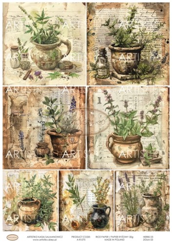 A-R-075 HERBS 03 ZIOŁA 03 ARTISTIKO.jpg