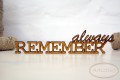 always remember.JPG