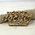 wśród nocnej ciszy.JPG