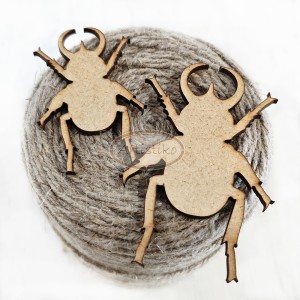 Chrząszcze 1 HDF / Beetles 1 HDF