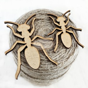 Mrówki 1 HDF / Ants 1 HDF