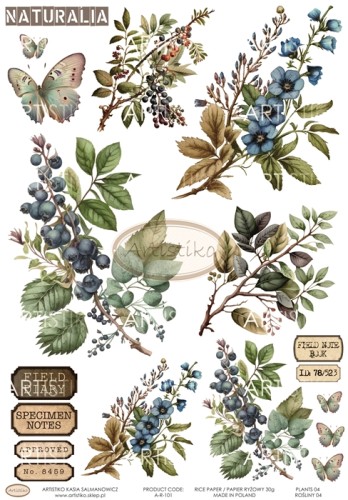 A-R-101 PLANTS 04 ROŚLINY 04 ARTISTIKO.jpg