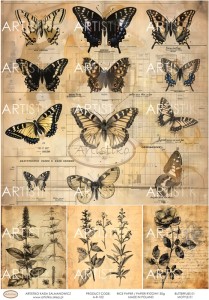 PAPIER RYŻOWY 102 - MOTYLE 01  / RICE PAPER - BUTTERFLIES 01 ARTISTIKO