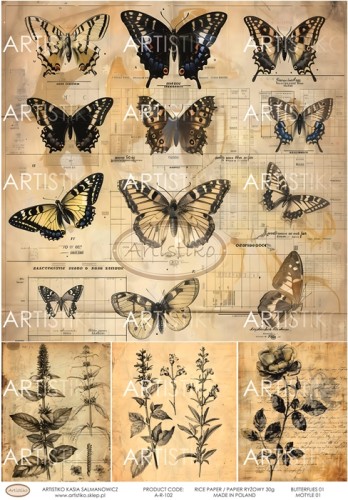 A-R-102 BUTTERFLIES 01 MOTYLE 01 ARTISTIKO.jpg