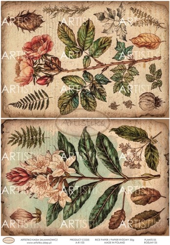 A-R-103 PLANTS 05 ROŚLINY 05 ARTISTIKO.jpg